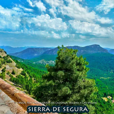 La Vieja Parra *