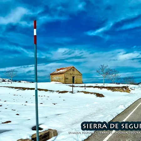 La Vieja Parra *